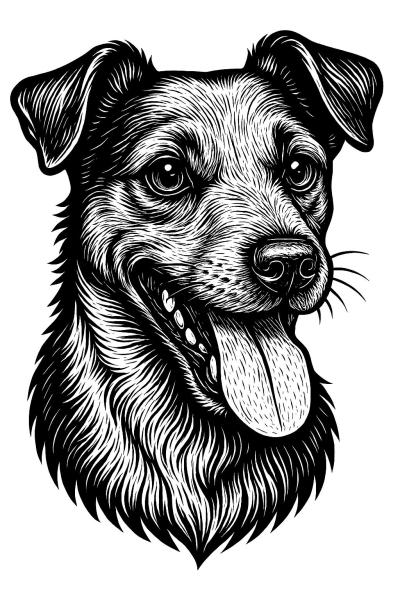 Jack Russell Hoodie: Dein neuer Lieblingspulli!